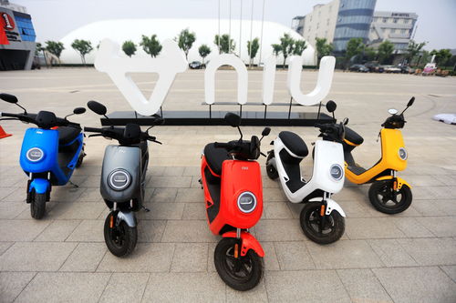 小牛踏足印度市場(chǎng) 中國(guó)電動(dòng)車(chē)全球征戰(zhàn)再下一城