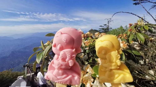 只在峨眉山才能吃到的快樂(lè)，被游客寵上了天的“萌貝樹”